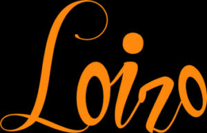 Loizo-logotype-orange-P1375C Loizo-logotype-orange-P1375C